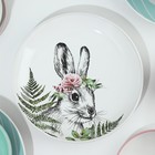 Посуда из керамики «Пасха. Лесные персонажи»: 4 тарелки, 4 миски, 4 кружки, 4 блюдца - Фото 7