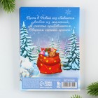 Подарочный новогодний набор на новый год«Чудесных мгновений», блок бумаги 30 л,ручка синяя паста 1.0 мм и 5 шт наклеек - Фото 11