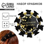 Набор крабиков для волос "Маленькой фее",10 шт.,1,5 х1,5 см - фото 320774664