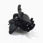 Краб для волос мини «Маленькой фее» набор,10 шт.,1,5 х1,5 см - Фото 5