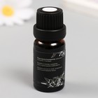 Ароматическое масло для свечей "Лес" 10 мл 2,5х2,5х6,3 см - фото 23420475