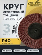Круг лепестковый торцевой ТУНДРА, для дрели, М8, 75 мм, P40, 3 шт. - Фото 1