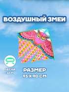 Воздушный змей Funny toys «Сова», с леской - Фото 1