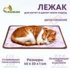 Коврик для отдыха животных, двусторонний (флис+ротанг), 40×30 см, сиреневый - Фото 1