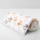 Плед для животных «С любовью», 104×72 см, белый - Фото 2