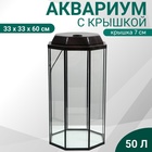 Аквариум «Восьмигранный» с крышкой, 50 л, 33×33×60/67 см, венге - Фото 1