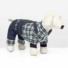 Комбинезон Men, размер XS, ДС 20 см, ОГ 30 см, ОШ 20 см, синий - Фото 2