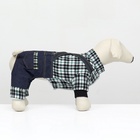 Комбинезон Men, размер XS, ДС 20 см, ОГ 30 см, ОШ 20 см, синий - Фото 3