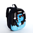 Рюкзак детский на молнии, цвет чёрный - фото 8556104