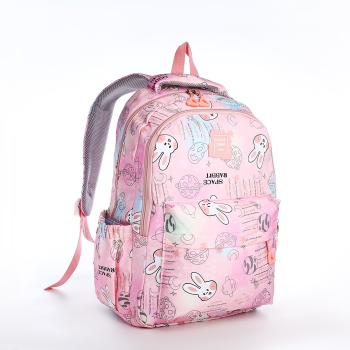 Рюкзак школьный из текстиля 2 отдела на молнии, 4 кармана, цвет розовый - фото 290235723