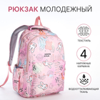 Рюкзак школьный из текстиля 2 отдела на молнии, 4 кармана, цвет розовый - фото 321714746