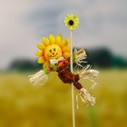Огородное пугало «Солнце», h = 50 см, МИКС, Greengo - фото 9807731