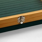 Подставка под кольца «Стиль» 14 полос, дерево, 30×30×5 см, цвет зелёный - фото 23363993