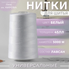 Нитки 45ЛЛ, 5000 м, цвет белый №0101 - фото 23364086