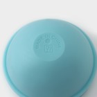 Форма для льда «Шар», d=7 см, цвет бирюзовый - Фото 7