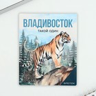 Брелок для ключей «Владивосток» 9892815 - фото 2528050