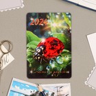 Календарь карманный "Новогодний" 2024 год, 9,5х6,5 см, МИКС (комплект 12 шт) - фото 25634933