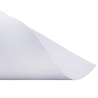 Набор ватманов чертёжных А3, 160 г/м², 10 листов 10144643