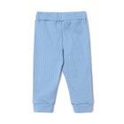 Штанишки детские, цвет синий, рост 74 см 10184352