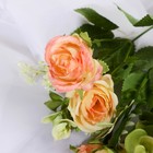 Букет "Роза Присцилла" 29 см, микс - Фото 2