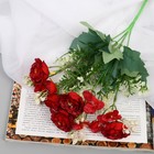 Букет "Роза Арья" 26 см, микс - Фото 1