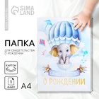 Папка для свидетельства о рождении «Маленькое счастье» - Фото 1