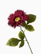 Цветы искусственные «Астра махровая», 46×10 см, бордовые 10084612