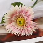 Цветы искусственные "Астра махровая" 46х10 см, розовый - фото 8156772
