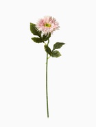 Цветы искусственные «Астра махровая», 46?10 см, розовые (комплект 2 шт) - фото 60021382