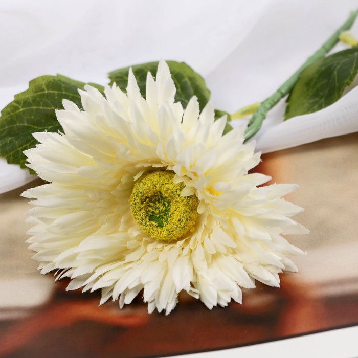Цветы искусственные "Астра махровая" 46х10 см, белый
