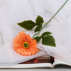 Цветы искусственные "Астра махровая" 46х10 см, оранжевый - фото 320778487