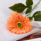Цветы искусственные "Астра махровая" 46х10 см, оранжевый - фото 8156776
