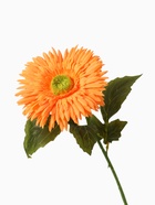 Цветы искусственные «Астра махровая», 46×10 см, оранжевые 10084615