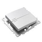 Выключатель 2-клавишный c индикатором, 250В, 10А, STEKKER серия Катрин,серебро,GLS10-7102-03 1022442 - фото 23365341