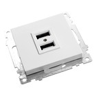 Розетка USB 2-местная (механизм), STEKKER GLS10-7115-01, 250B, 2,1А, серия Катрин, белый - фото 23365424