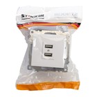 Розетка USB 2-местная (механизм), STEKKER GLS10-7115-01, 250B, 2,1А, серия Катрин, белый - фото 23365425