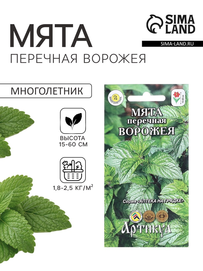 Семена Мята перечная «Ворожея», 0.03 г, «Артикул» - Фото 1