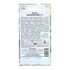 Семена Огурец "Великий Амур", F1, 10 шт - Фото 2