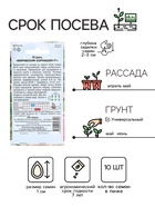 Семена Огурец «Моравский корнишон F1», 10 шт. - Фото 2