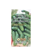 Семена Огурец «Моравский корнишон F1», 10 шт. - Фото 5