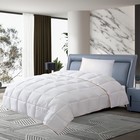 Одеяло Arya Home Ecosoft Comfort, размер 195x215 см, цвет белый - Фото 1