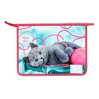 Папка для тетрадей А4, 340 х 245 х 50 мм, молния сверху, покрытие Soft-touch "Я прелесть" - фото 23401973