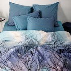 Постельное бельё Евро Ночь Нежна «Чёрная птица», 200х215 см, 240х215 см, 70х70 см 2шт, поплин, хлопок, 110гр - фото 23374618