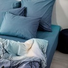 Постельное бельё Евро Ночь Нежна «Чёрная птица», 200х215 см, 240х215 см, 70х70 см 2шт, поплин, хлопок, 110гр - фото 23374619