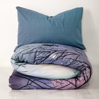 Постельное бельё Евро Ночь Нежна «Чёрная птица», 200х215 см, 240х215 см, 70х70 см 2шт, поплин, хлопок, 110гр - фото 23374623