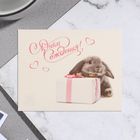 Мини-открытка "С Днём Рождения!" кролик, 7х9 см - фото 11864622