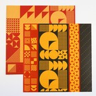 Набор бумаги для скрапбукинга «Яркая геометрия», 12 листов, 30.5 х 30.5 см, 180 г/м² - Фото 7