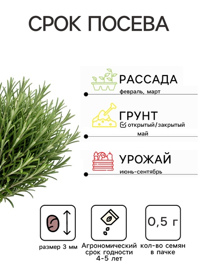 Семена Розмарин Вкус Прованса   Блюда стран мира Ц/П 20шт