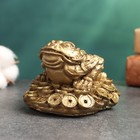 Фигура "Лягушка на монетах" 7х10х9см - Фото 3