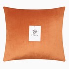 Подушка декоративная «Этель», терракотовый, 30×30 см, велюр - Фото 5